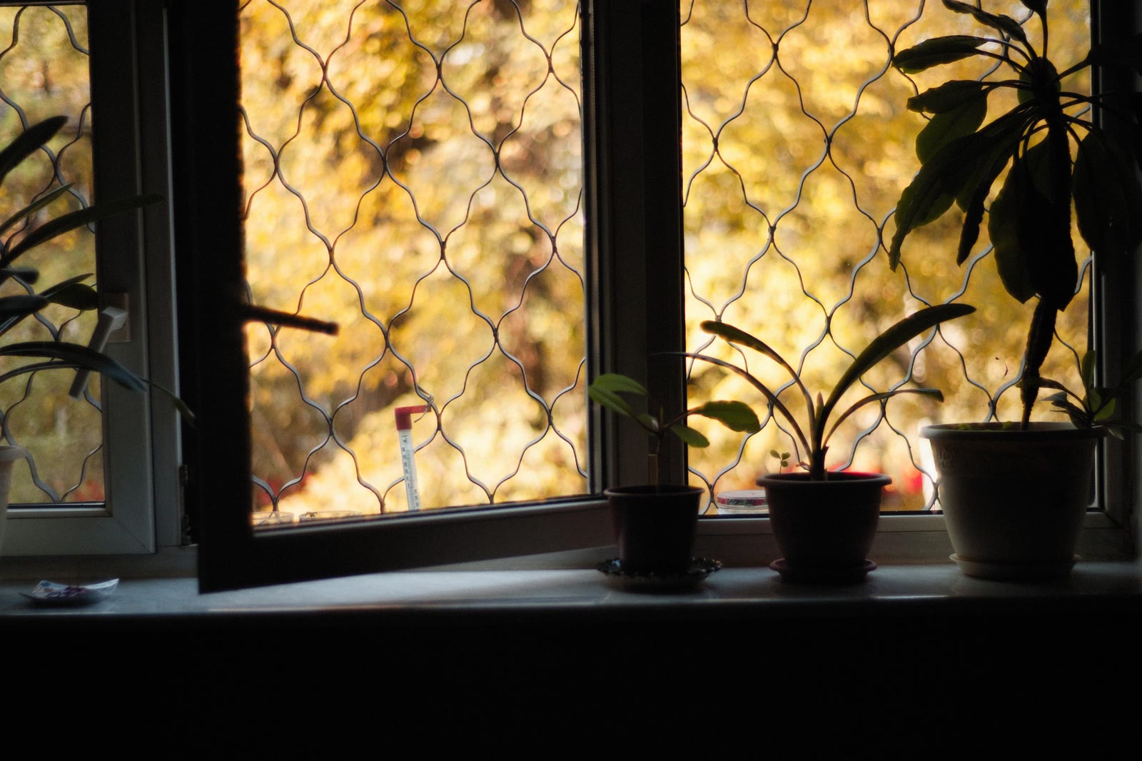 Una ventana con las hojas amarillas del otoño fuera y el interior de la casa en penumbra